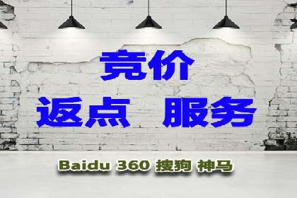 百度竞价广告成功案例：如何实现ROI最大化
