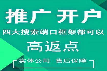 推广竞价策略解析：成功案例分享